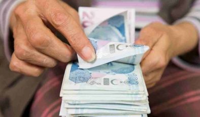 5000 Tl Emekli İkramiyesi Sorgulama E-Devlet (yatmadı ne yapmalıyım)
