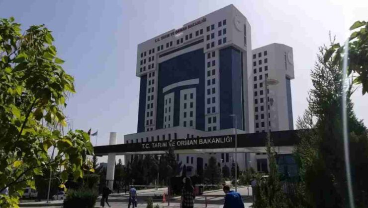Tarım ve Orman Bakanlığı personel alımı ile istihdam seferberliği hız kesmiyor