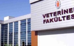 Veterinerlik Taban Puanları 2024 Listesi