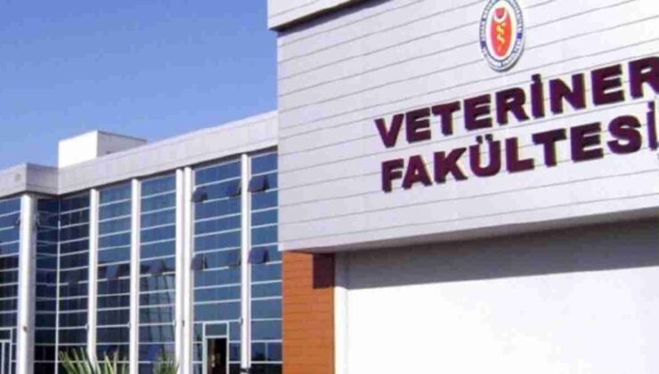 Veterinerlik Taban Puanları 2024 Listesi