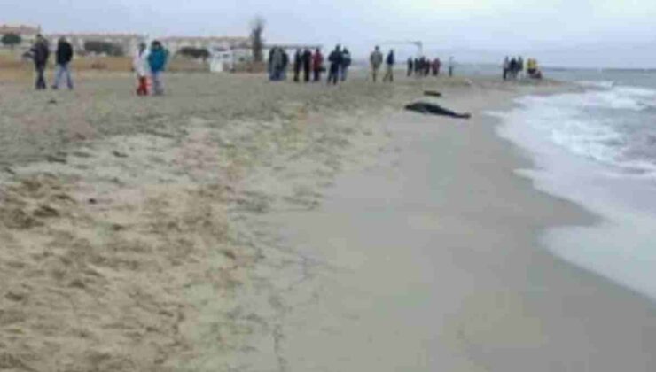 Antalya ve Muğla Kıyılarındaki Cansız Bedenler, Göçmenlerin Zorlu Yolculuğunu Gözler Önüne Seriyor