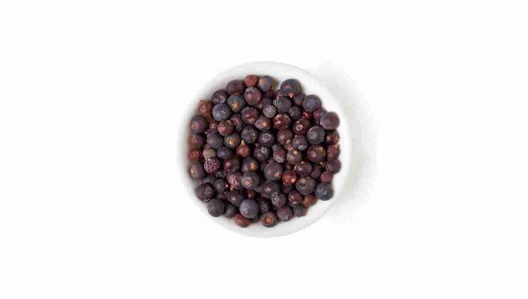 Cedar Berries Nedir? Cedar Berries Vozol Tadı Nasıl?