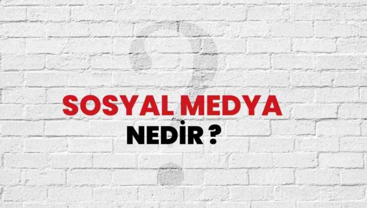 Dilf Ne Demek Sosyal Medya? Dilf Ne Demek TikTok?