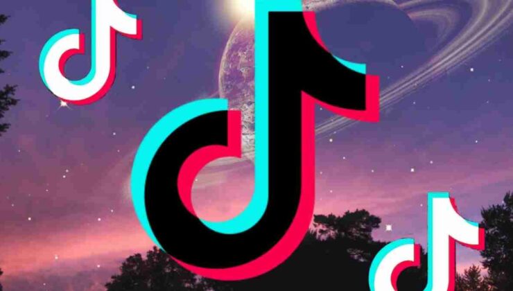 Mid Ne Demek TikTok, Ne Anlama Geliyor?