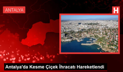 Antalya’da Çiçek İhracatı Rekor Kırıyor: 80 Milyon Dal Yola Çıktı