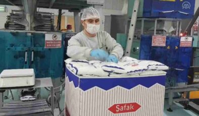 Bor Şeker ve Pasifik Teknoloji Halka Arzıyla Yatırımcıları Bekliyor: İşte Detaylar