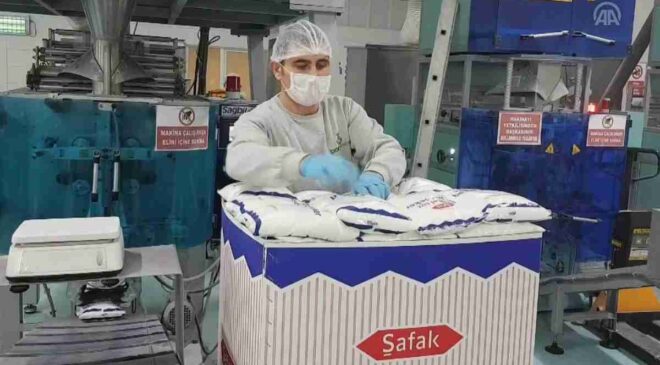 Bor Şeker ve Pasifik Teknoloji Halka Arzıyla Yatırımcıları Bekliyor: İşte Detaylar