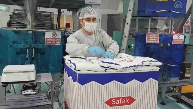Bor Şeker ve Pasifik Teknoloji Halka Arzıyla Yatırımcıları Bekliyor: İşte Detaylar