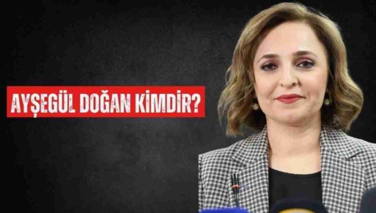DEM Parti Ayşegül Doğan kimdir, nerelidir? Ayşegül Doğan kaç yaşında?