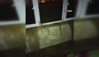 Antalya’daki Şengül Teyze, Deprem Felaketi Sonrası İkinci Kez Afetten Etkilendi