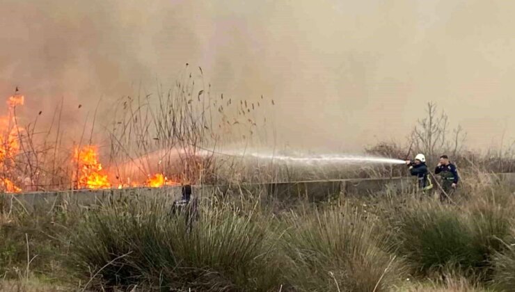 Antalya’da Sazlık Yangınına Hızlı Müdahale