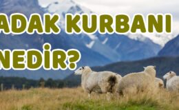 Adak Kurbanı Nedir?