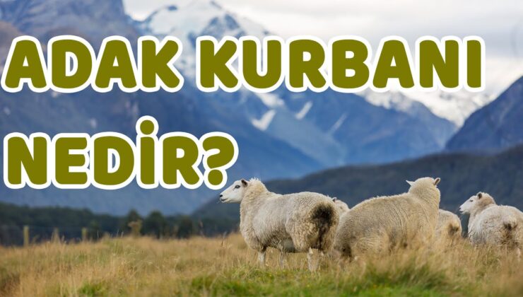 Adak Kurbanı Nedir?