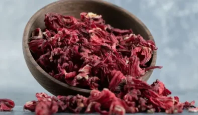 Hibiskusun Faydaları Nelerdir?