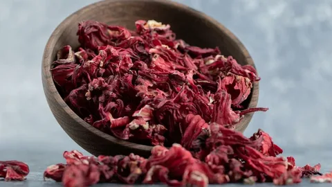 Hibiskusun Faydaları Nelerdir?