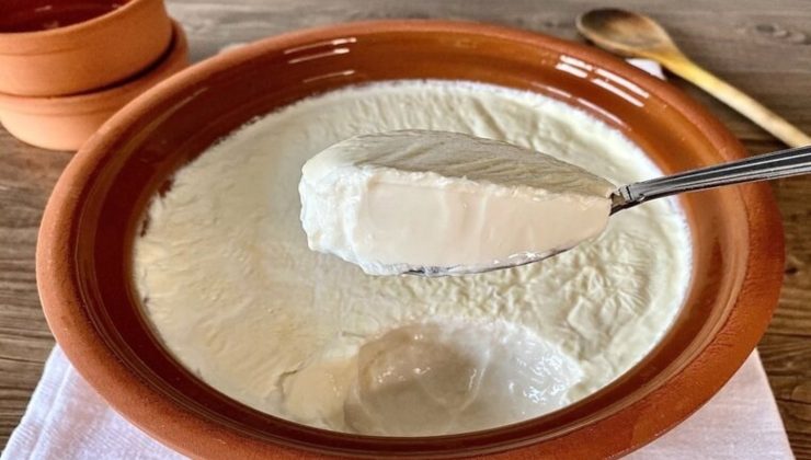 Ev Yapımı Yoğurt Tarifi