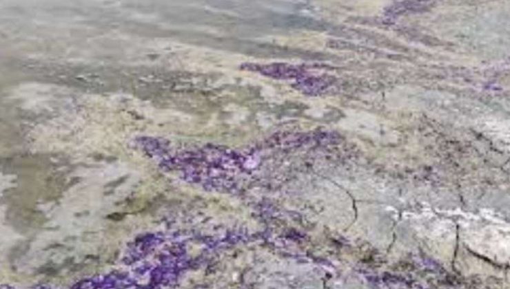 Burdur Gölü’nde Mor Kumların Gizemi